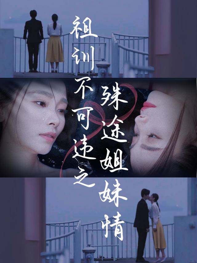 祖训不可违之殊途姐妹情封面