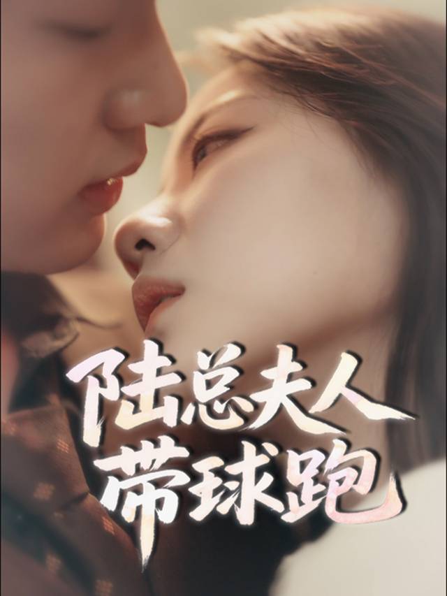陆总夫人带球跑封面