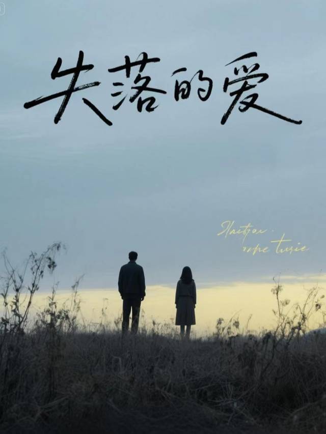 失落的爱封面