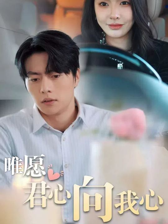 唯愿君心向我心封面