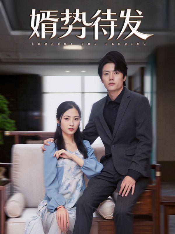 婿势待发2封面