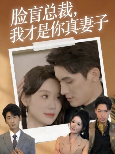 脸盲总裁,我才是你真妻子封面