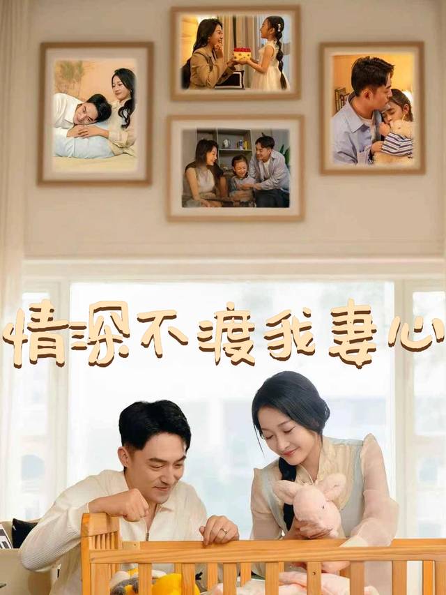 情深不渡我妻心封面