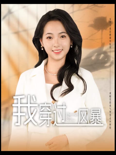 我穿过风暴封面