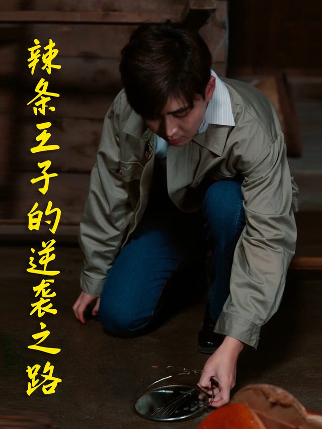 辣条王子的逆袭之路封面