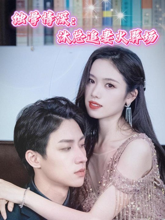 蚀骨情深:沐总追妻火葬场封面