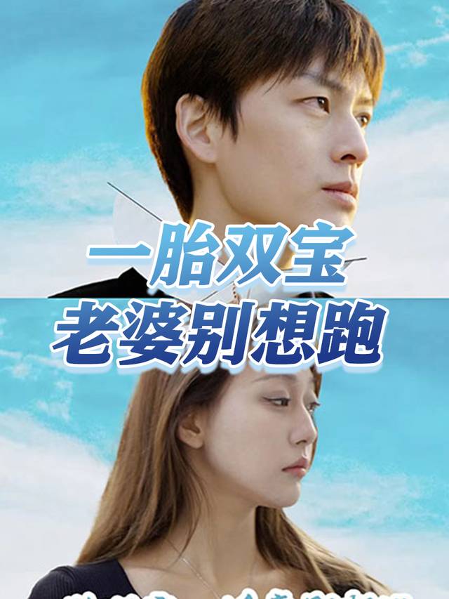 一胎双宝:老婆别想跑封面