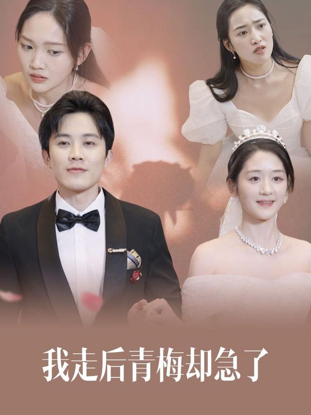 我走后青梅却急了封面