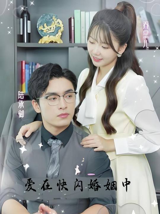 爱在快闪婚姻中封面