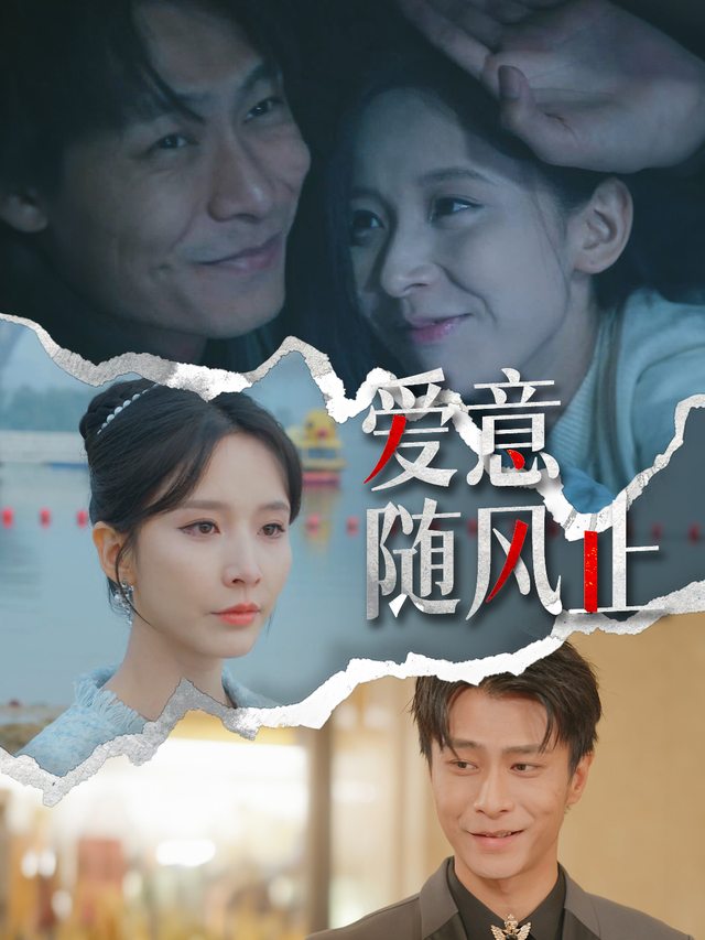 爱意随风止封面