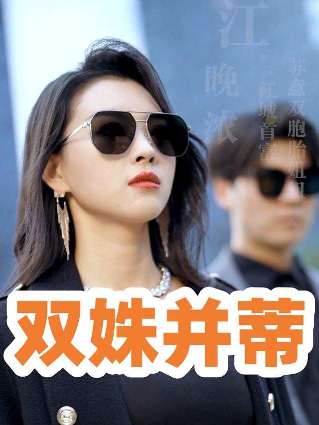 双姝并蒂封面
