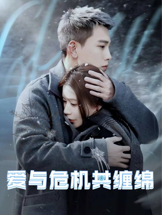 爱与危机共缠绵封面