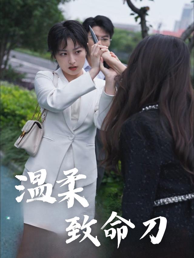 温柔致命刀封面