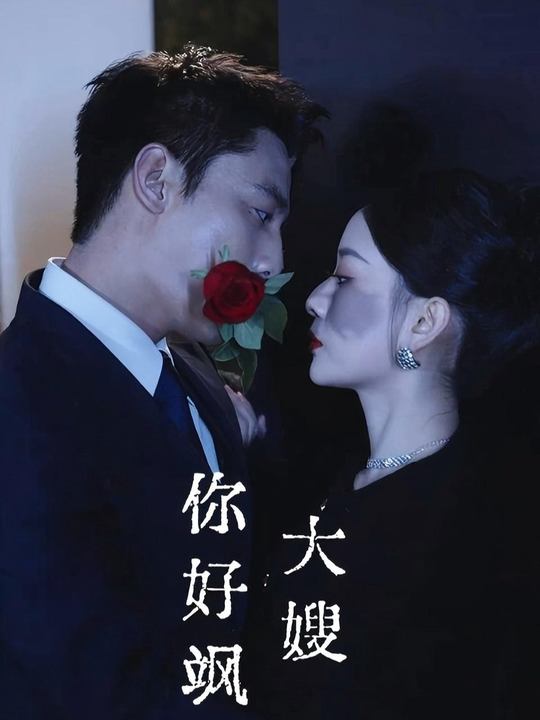 大嫂你好飒封面