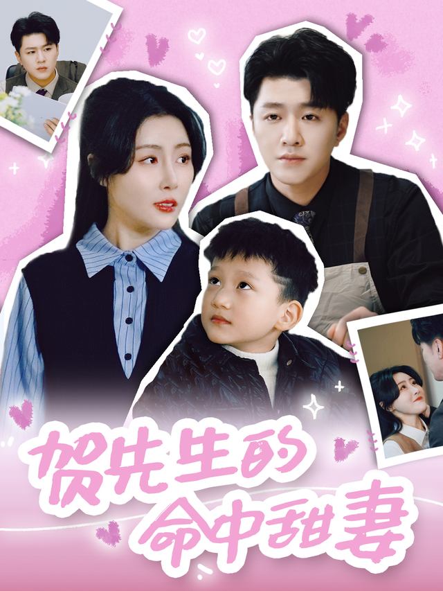贺先生的命中甜妻封面