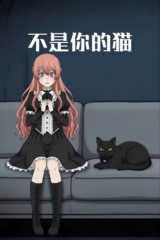 不是你的猫封面
