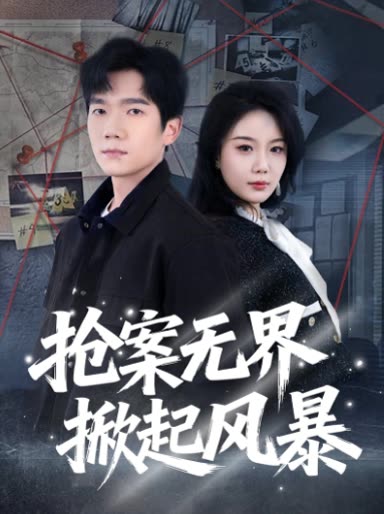 抢案无界,掀起风暴封面