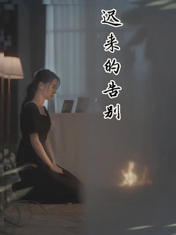 迟来的告别封面