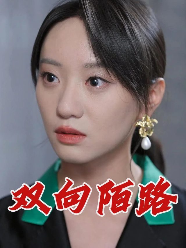 双向陌路封面