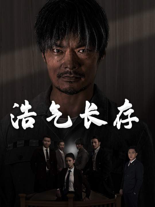 浩气长存封面