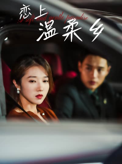 恋上温柔乡封面