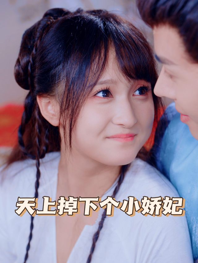 天上掉下个小娇妃封面