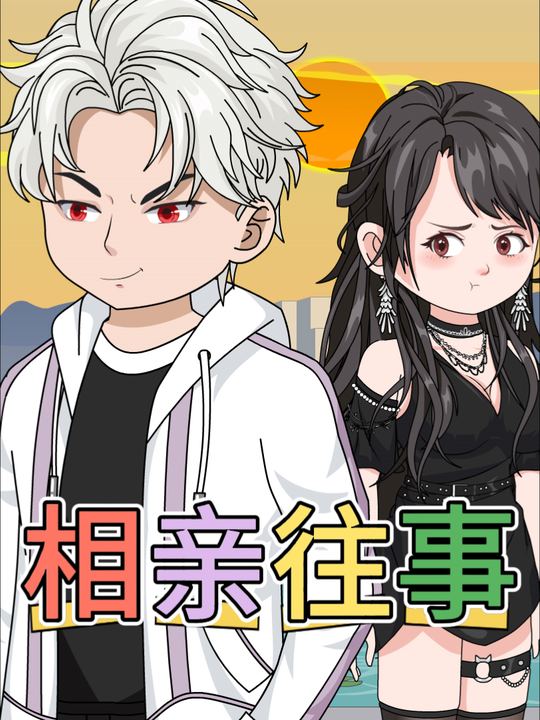 相亲往事封面