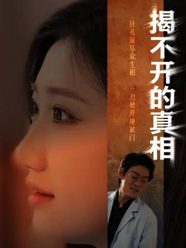 揭不开的假象封面