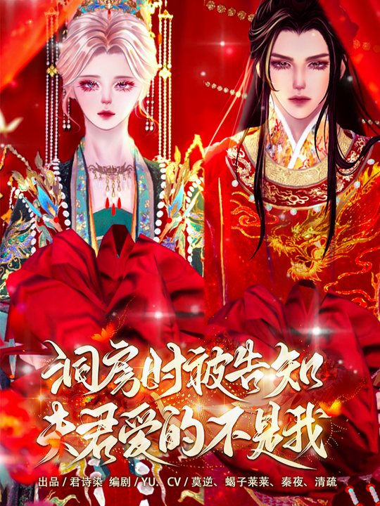 洞房时被告知,夫君爱的不是我封面