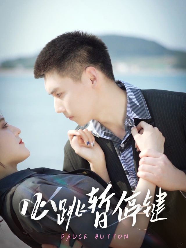 心跳暂停键封面