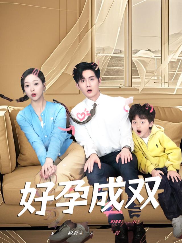 好孕成双封面