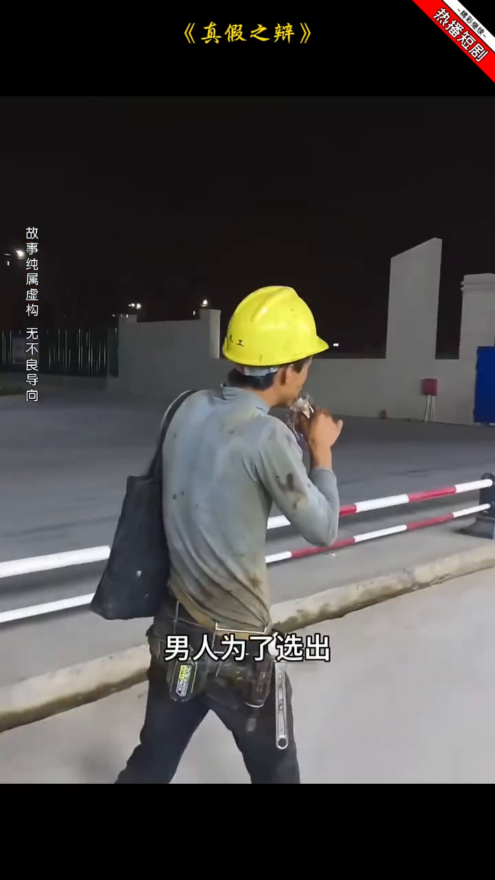 真假之辩封面