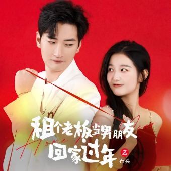 租个老板当男朋友回家过年封面