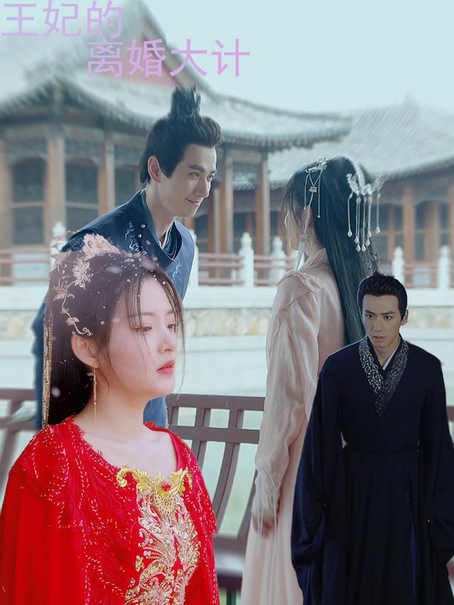 王妃的离婚大计封面