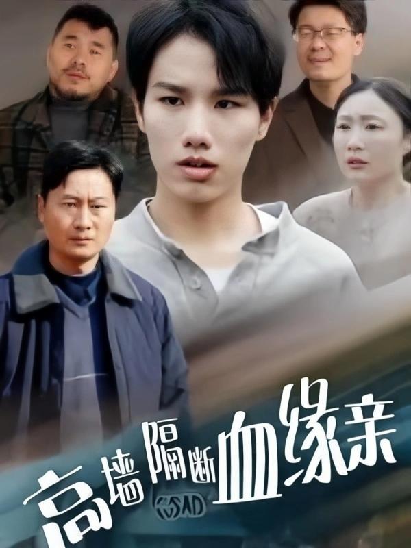 高墙隔断血缘亲封面