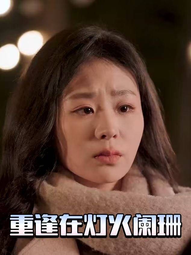重逢在灯火阑珊封面