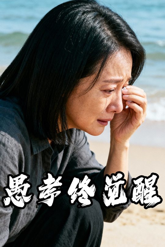 愚孝终觉醒封面