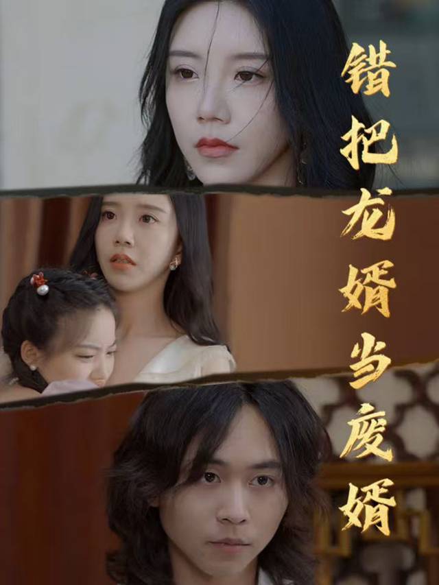 错把龙婿当废婿封面