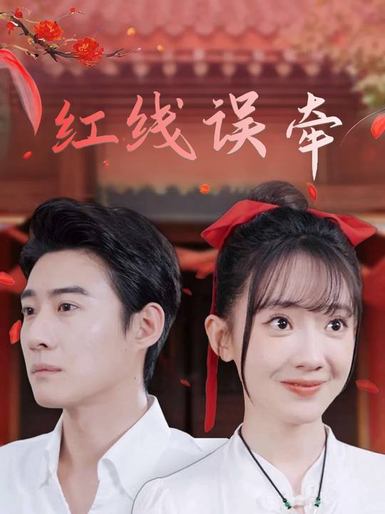红线误牵封面