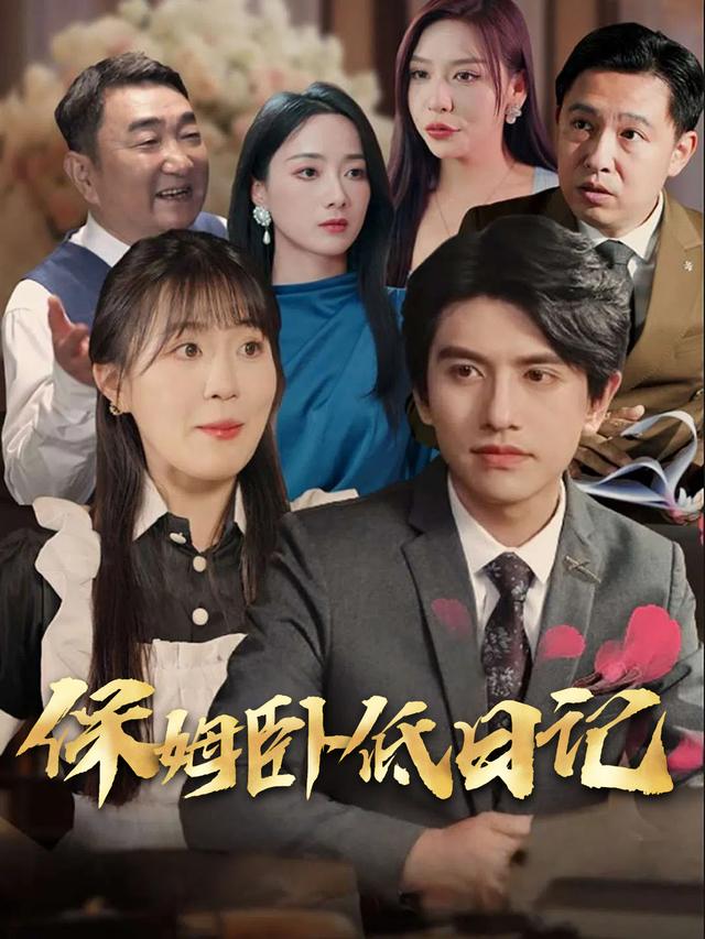 保姆卧底日记封面