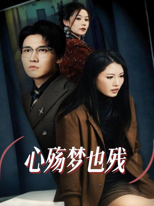 心殇梦也残封面