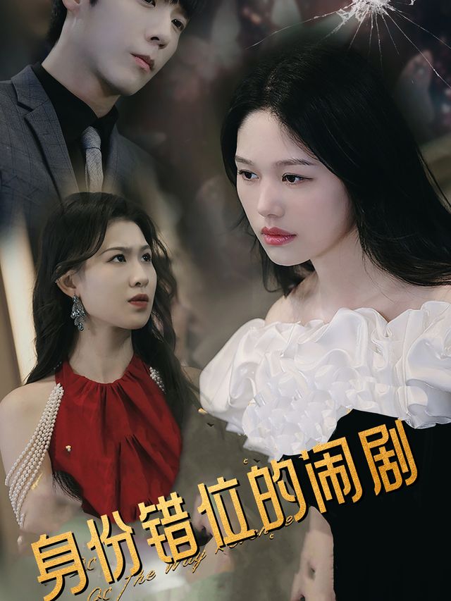 身份错位的闹剧封面