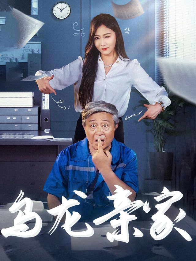 乌龙亲家封面