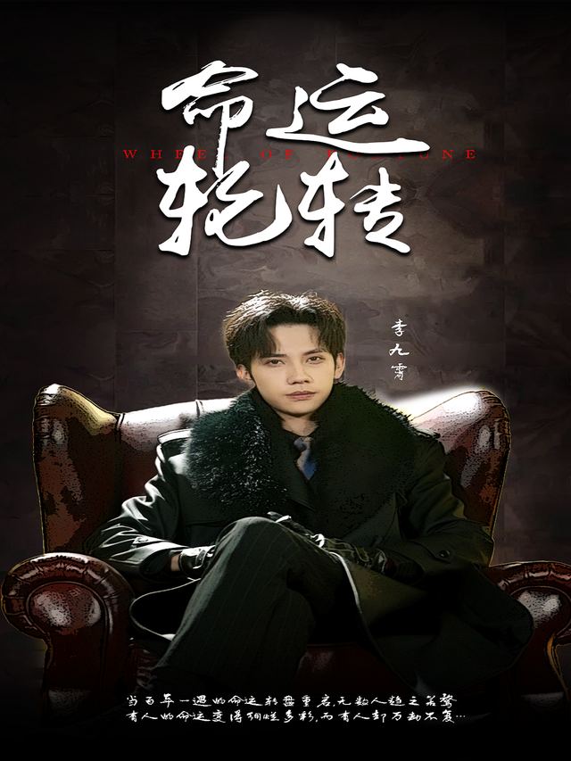 命运轮转封面