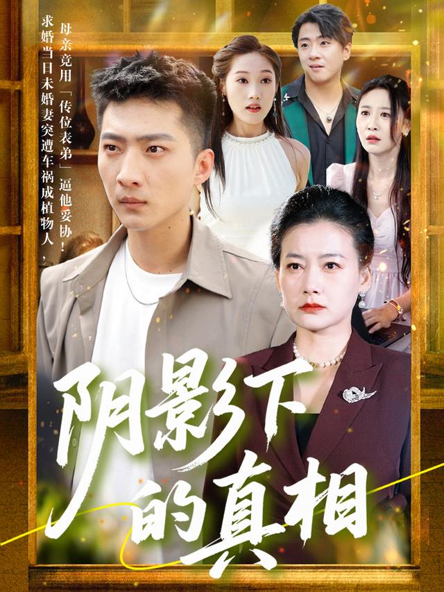 阴影下的真相封面