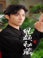 风起秘藏封面