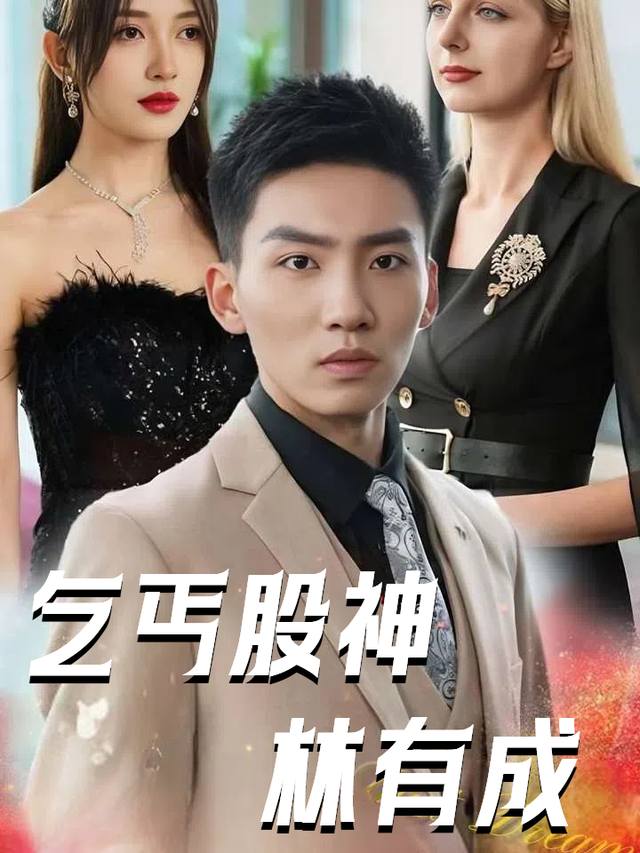 乞丐股神林有成封面