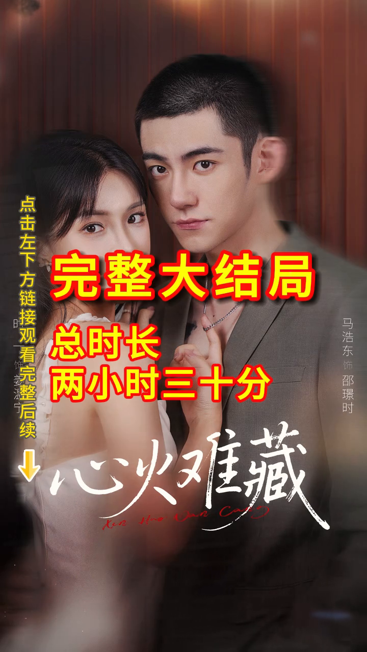 心火难藏封面
