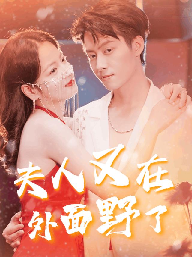 夫人的潜伏与暗恋封面
