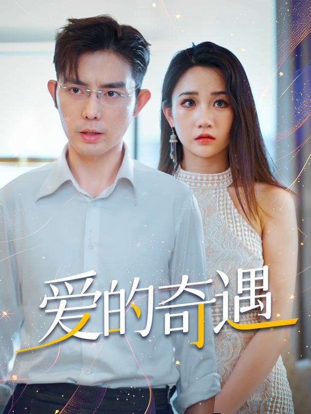 爱的奇遇封面